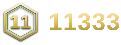 11333 logo